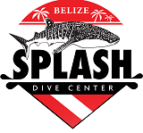 Splash dive center belize logo